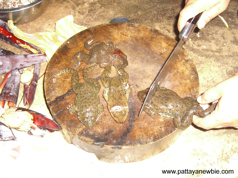 Thai food - frog