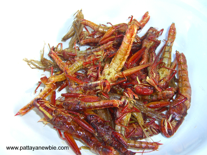 Thai food - insect