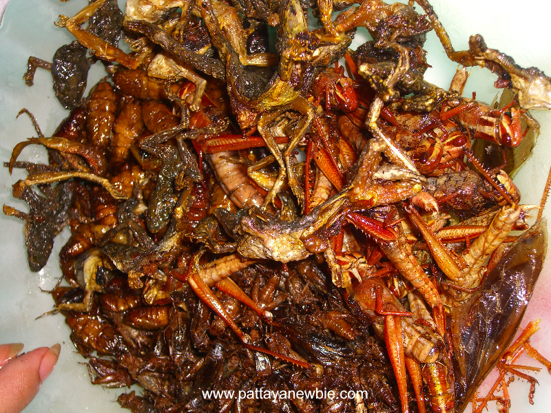 Thai food - insects