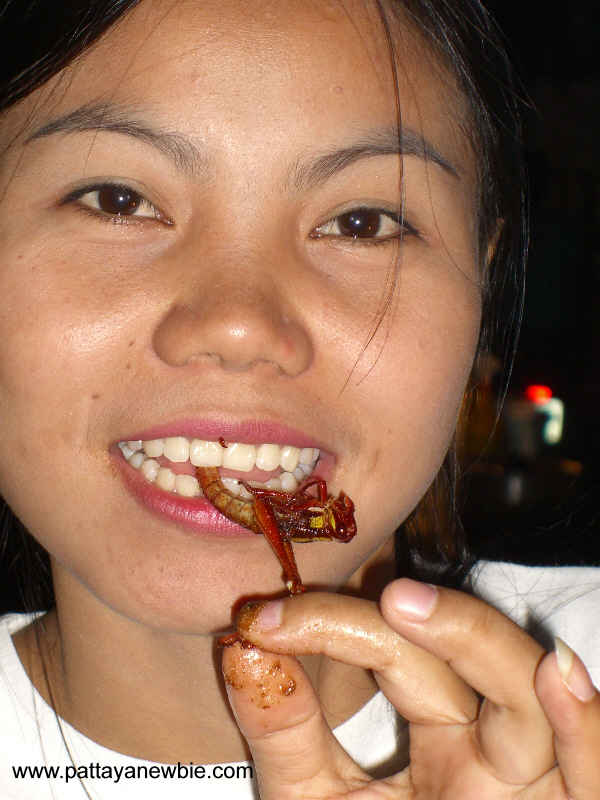 Thai food - insect