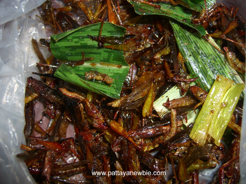 Thai food - insect